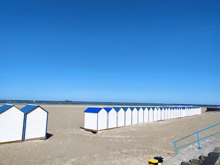 Face Nausicaa Et Plage Vue Panoramique بولون-سور-مير المظهر الخارجي الصورة
